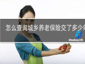 怎么查询城乡养老保险交了多少年了