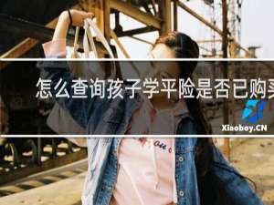 怎么查询孩子学平险是否已购买