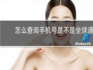 怎么查询手机号是不是全球通