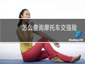 怎么查询摩托车交强险