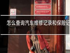 怎么查询汽车维修记录和保险记录