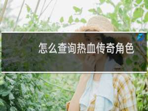 怎么查询热血传奇角色