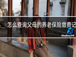 怎么查询父母的养老保险缴费记录
