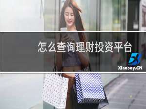 怎么查询理财投资平台