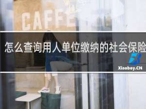 怎么查询用人单位缴纳的社会保险凭证