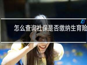 怎么查询社保是否缴纳生育险