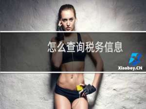 怎么查询税务信息