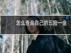 怎么查询自己的五险一金