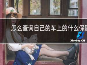 怎么查询自己的车上的什么保险