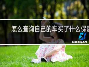 怎么查询自己的车买了什么保险