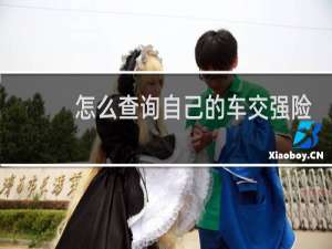怎么查询自己的车交强险