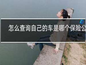 怎么查询自己的车是哪个保险公司