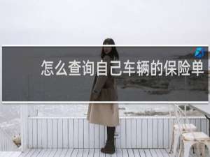 怎么查询自己车辆的保险单