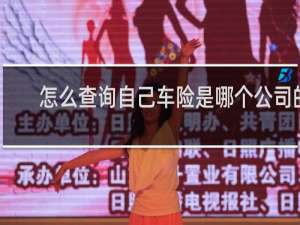 怎么查询自己车险是哪个公司的