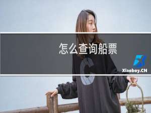 怎么查询船票