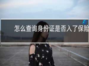怎么查询身份证是否入了保险