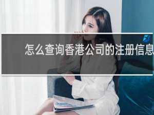 怎么查询香港公司的注册信息