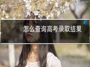 怎么查询高考录取结果