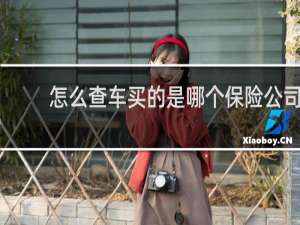 怎么查车买的是哪个保险公司