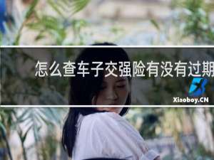 怎么查车子交强险有没有过期