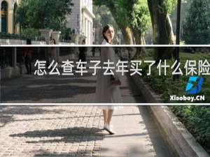 怎么查车子去年买了什么保险