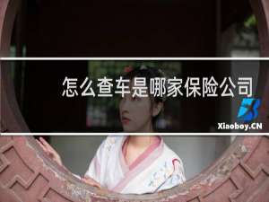 怎么查车是哪家保险公司