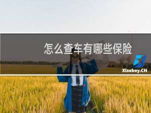 怎么查车有哪些保险