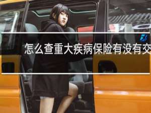 怎么查重大疾病保险有没有交