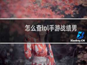 怎么查lol手游战绩男的女的