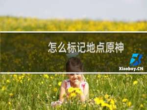 怎么标记地点原神