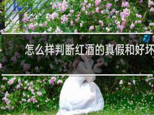 怎么样判断红酒的真假和好坏