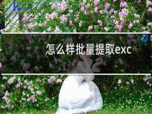 怎么样批量提取excel文件中的照片