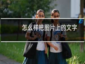 怎么样把图片上的文字变成word文档？