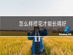 怎么样插花才能长得好