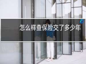 怎么样查保险交了多少年