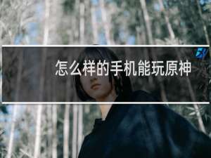 怎么样的手机能玩原神