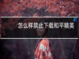 怎么样禁止下载和平精英
