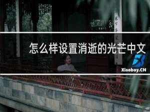 怎么样设置消逝的光芒中文