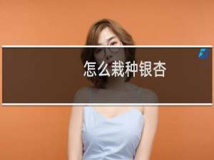 怎么栽种银杏