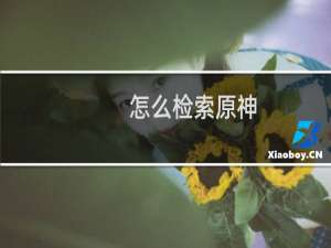 怎么检索原神