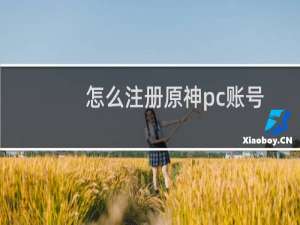 怎么注册原神pc账号