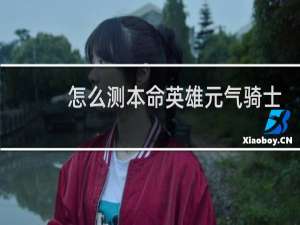 怎么测本命英雄元气骑士