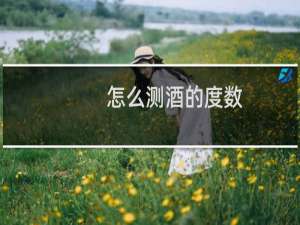 怎么测酒的度数
