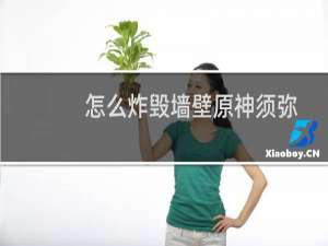 怎么炸毁墙壁原神须弥
