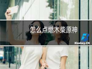 怎么点燃木柴原神