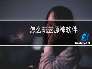 怎么玩云原神软件