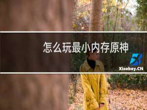 怎么玩最小内存原神