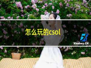 怎么玩的csol