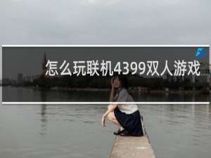 怎么玩联机4399双人游戏