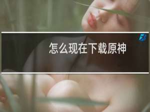 怎么现在下载原神